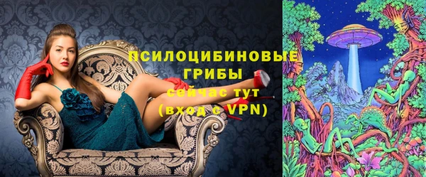 ешки Алексеевка