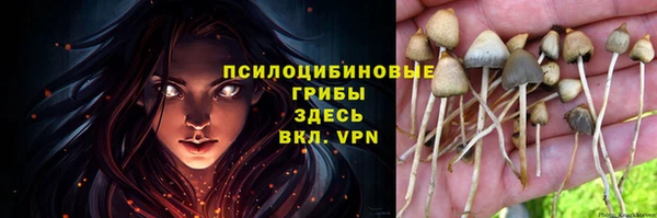 ешки Алексеевка